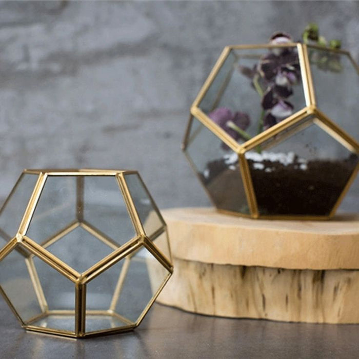 Hexagon Glass Terrarium