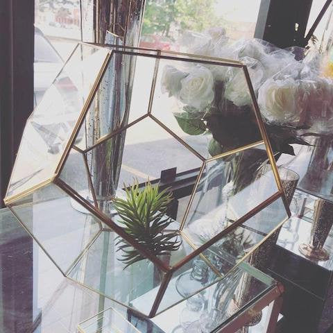 Hexagon Glass Terrarium